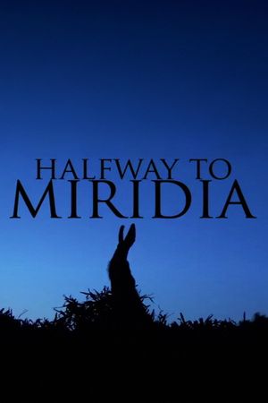 Halfway's poster