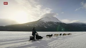 Musher, l'appel de l'Alaska's poster