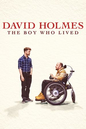 David Holmes: The Boy Who Lived's poster
