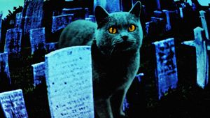 Pet Sematary's poster