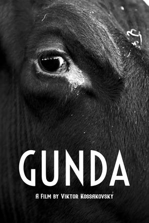 Gunda's poster