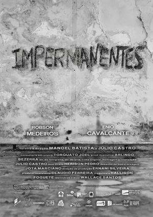 Impermanentes's poster