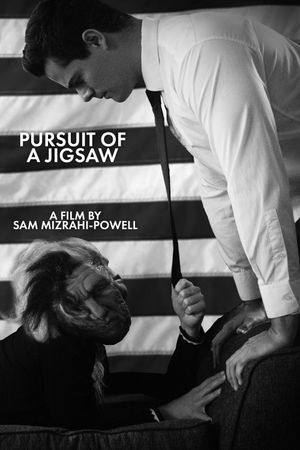 Pursuit Of A Jigsaw's poster