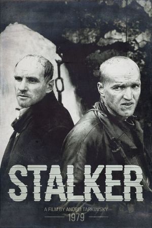 Stalker's poster