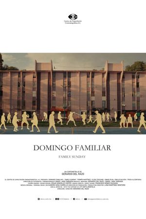 Domingo Familiar's poster
