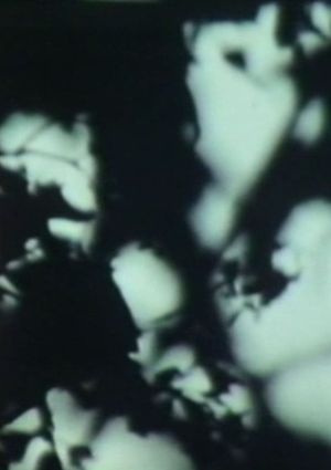 Maïm's poster