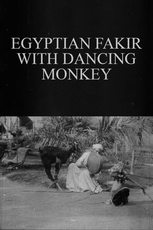 Egyptian Fakir with Dancing Monkey's poster