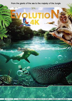 Evolution 4K's poster