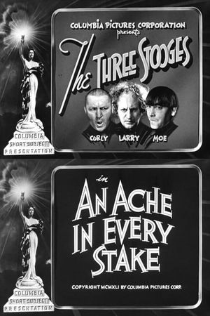 An Ache in Every Stake's poster