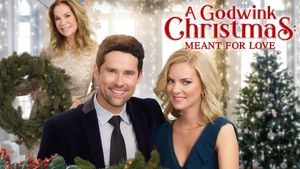 A Godwink Christmas: Meant For Love's poster