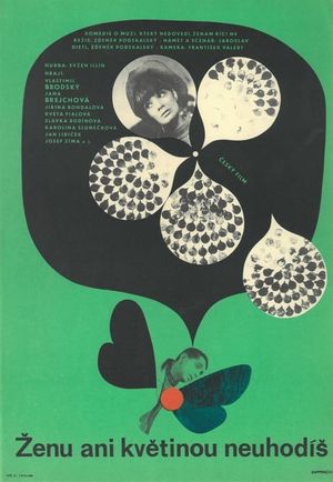 You Don't Strike a Woman Even with a Flower's poster