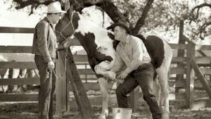 King of the Wild Horses's poster