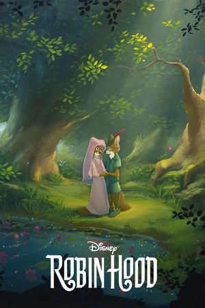 Robin Hood's poster