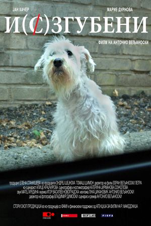 Mi(s)sing Dog's poster