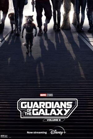 Guardians of the Galaxy Vol. 3's poster