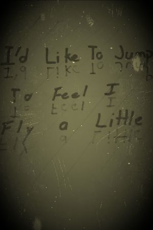 I'd Like to Jump to Feel I Fly a Little's poster