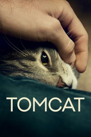 Tomcat's poster