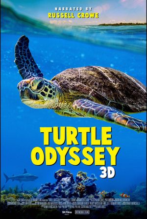 Turtle Odyssey's poster