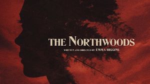 The Northwoods's poster