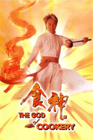 Cheetah on Fire's poster
