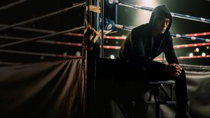 The Journey of a Boxer's poster