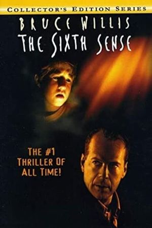 The Sixth Sense: Rules and Clues's poster image