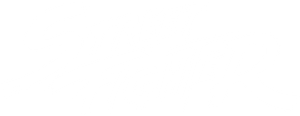 Street Fighter's poster