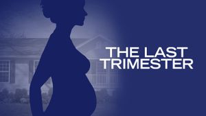 The Last Trimester's poster