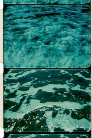 A Child's Garden and the Serious Sea's poster