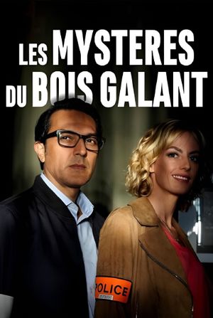 Murder In Rochefort's poster