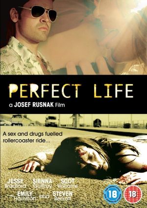 Perfect Life's poster