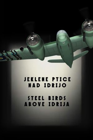 Steel Birds Above Idrija's poster