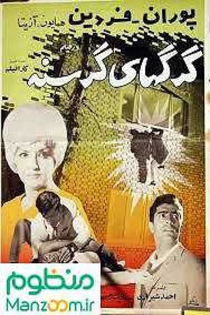 Hungary wolves's poster