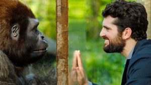 Beware the Gorilla's poster
