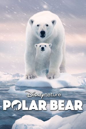 Polar Bear's poster
