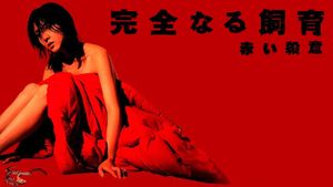 Perfect Education 6: Red Murder's poster