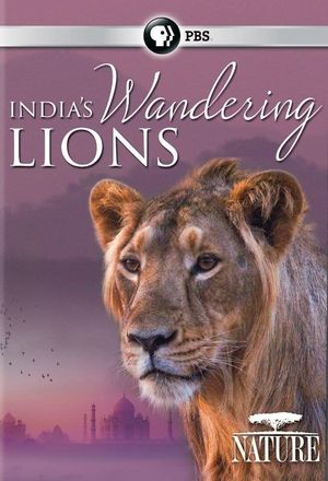 India's Wandering Lions's poster