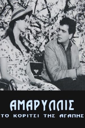 Amaryllis's poster