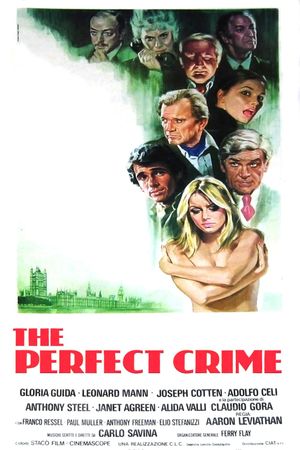 Indagine su un delitto perfetto's poster