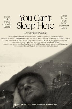 You Can't Sleep Here's poster
