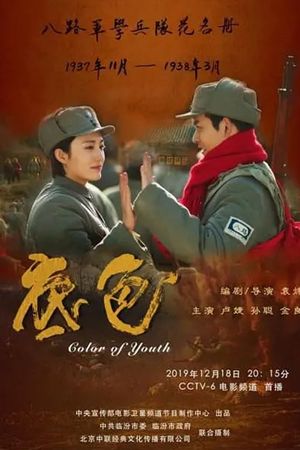 Color of Youth's poster image