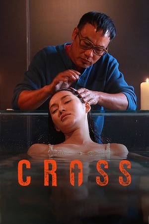 The Cross's poster