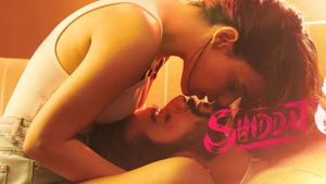 Shiddat's poster