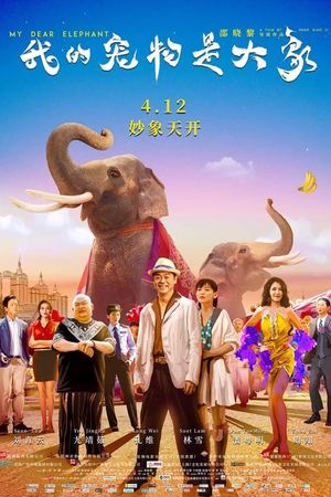My Dear Elephant's poster