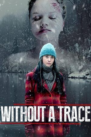 Without a Trace's poster