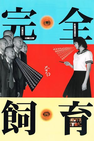 The Perfect Education's poster