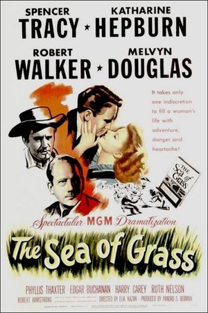 The Sea of Grass's poster