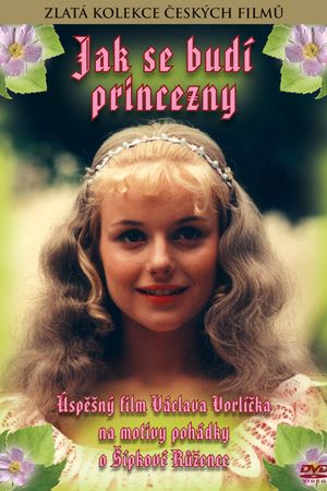 How to Wake a Princess's poster