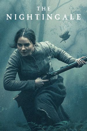 The Nightingale's poster