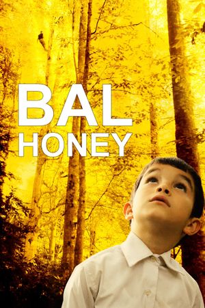 Honey's poster